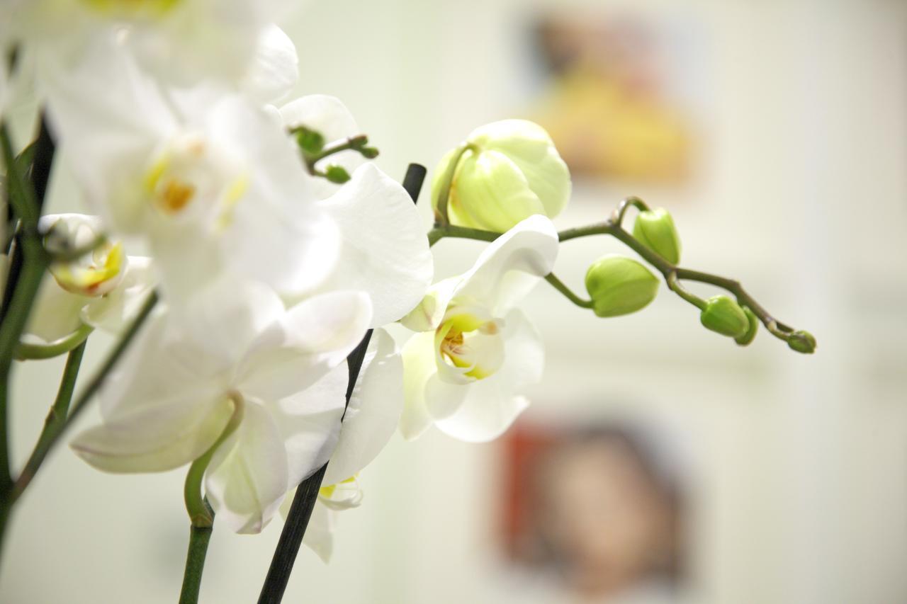 Prado Suite Madrid Ngoại thất bức ảnh
